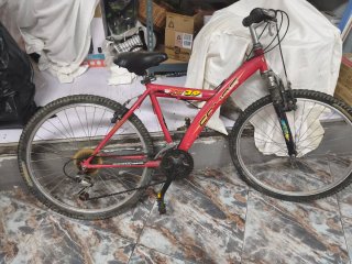 Pack de 3 Bicicletas de Diferentes Tamaños