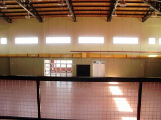 ofrezco mis servicios como pintor de casas