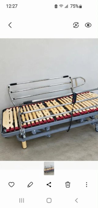 Cama Articulada Eléctrica