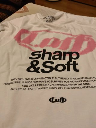 Ropa chico