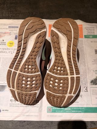 Zapatillas Nike Pegasus