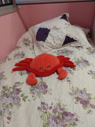 Peluche de Cangrejo Rojo