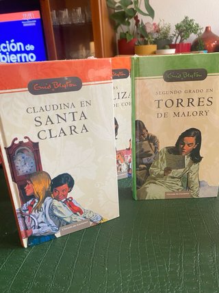 Libros Juvenil  12 libros Torres de Maloty
