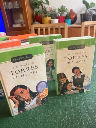 Libros Juvenil  12 libros Torres de Maloty
