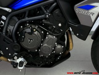 TRIUMPH TIGER 900 GT -A2-