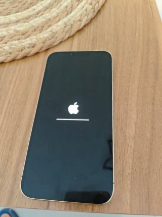 iPhone 13 Pro Max 128GB Oro/Plata