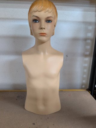 Maniquí Torso Niño Carne Sin Brazos