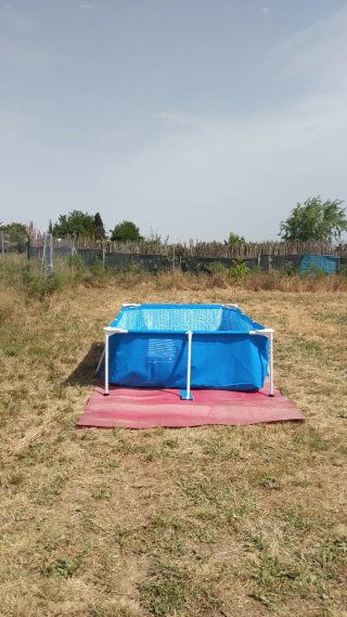 Huerto