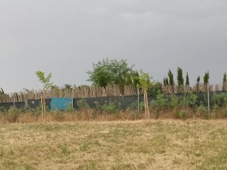 Huerto