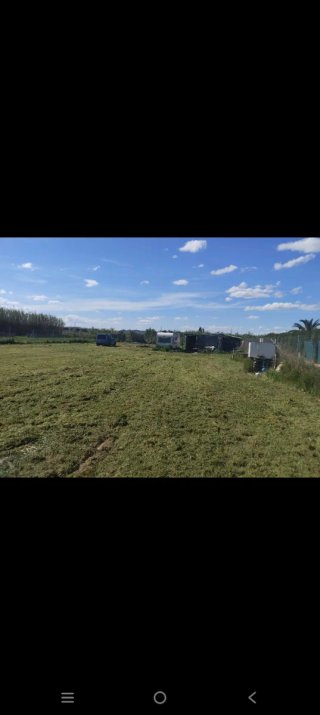 Huerto