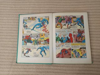 Cómic El Hombre Araña contra la Antorcha