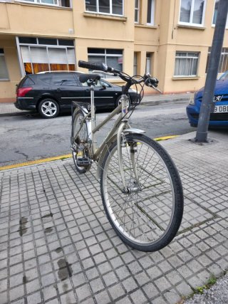 Bicicleta de Paseo America