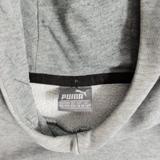Sudadera Puma Essentials Gris con Capucha