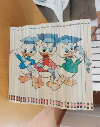 Colección completa Disney 30 libros