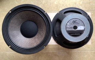Altavoces Acoustic Control 12 pulgadas
