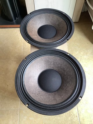 Altavoces Acoustic Control 12 pulgadas