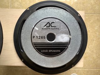 Altavoces Acoustic Control 12 pulgadas