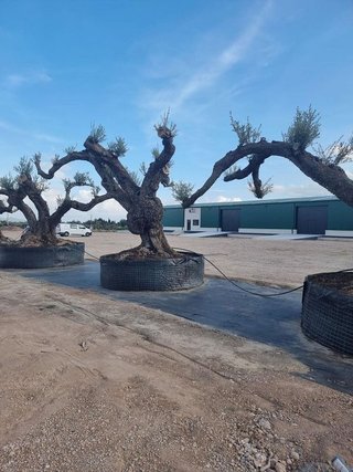 Nave industrial en venta en Jesús - Els Reguers en Tortosa