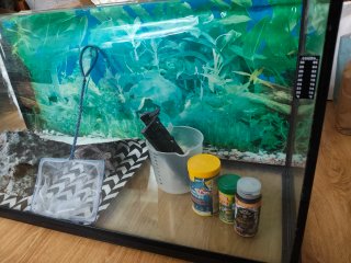 Acuario de 90 Litros con Accesorios