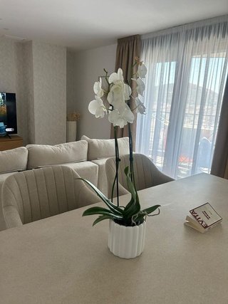 Piso en alquiler en Palma - Palmilla en Málaga