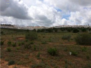 Terreno en venta en Arcos de la Frontera