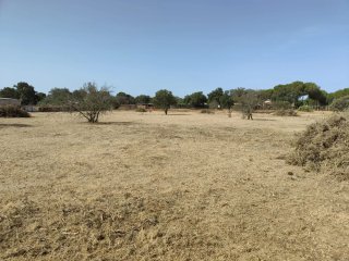 Finca 10000 m² - Bótoa (Badajoz)