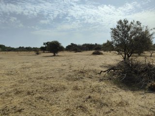 Finca 10000 m² - Bótoa (Badajoz)