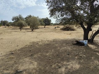 Finca 10000 m² - Bótoa (Badajoz)