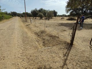 Finca 10000 m² - Bótoa (Badajoz)