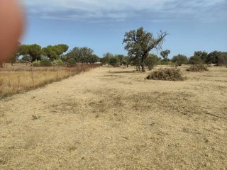 Finca 10000 m² - Bótoa (Badajoz)