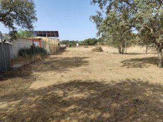 Finca 10000 m² - Bótoa (Badajoz)
