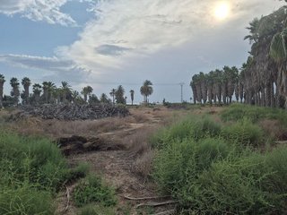 Terreno en venta en Algorós - El Derramador en Elche