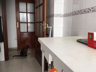 Piso en alquiler en Avda. Elvas en Badajoz