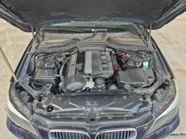 Despiece BMW 520i (2004)