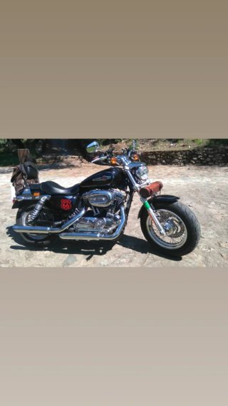 Harley Davidson 1200 sportstere custom