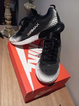 Deportivas Nike Air Max
