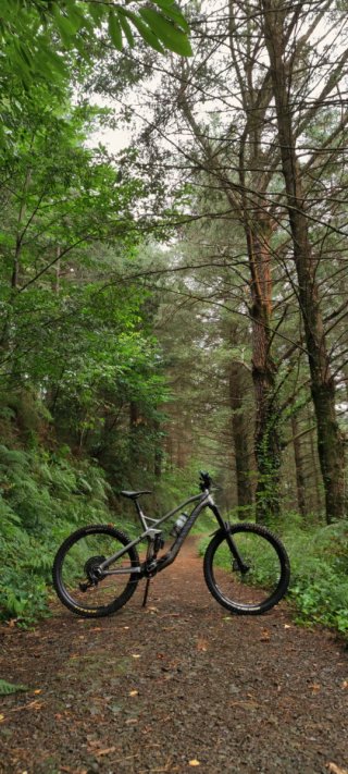 Canyon Strive 2019