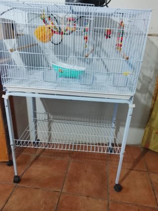 Jaula para Pájaros con Soporte