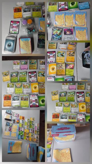 Lote Pokémon TCG Brecha Paradójica - Accesorios