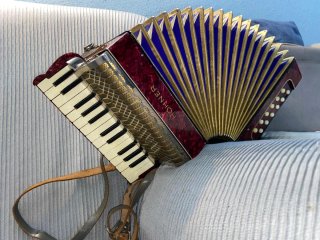 Fisarmonica Hohner Regina 12 Bassi