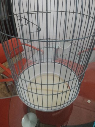 Jaula para Loros