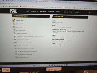 Zapato de Seguridad FAL nuevo a estrenar
