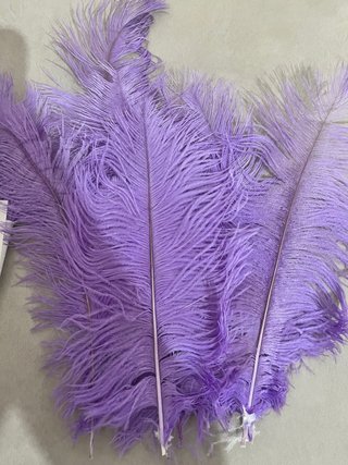 Plumas de avestruz moradas