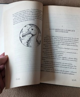 El secreto de los brujos