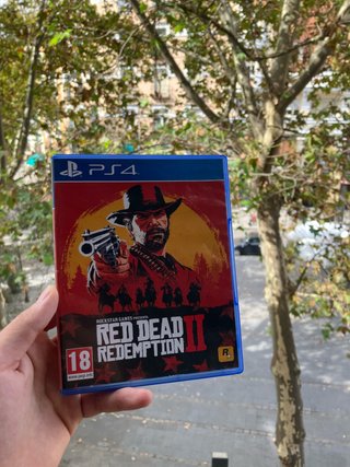 Red Dead Redemption II (PS4)