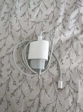 iPhone 11 Blanco