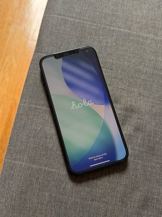 iPhone 12 Pro Max 256GB