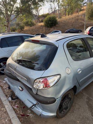 Peugeot 206 2005
