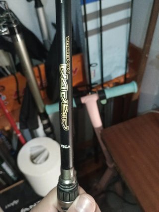 Pesca depredador.