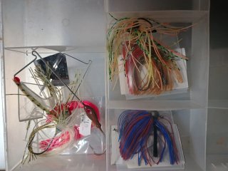 Pesca depredador.